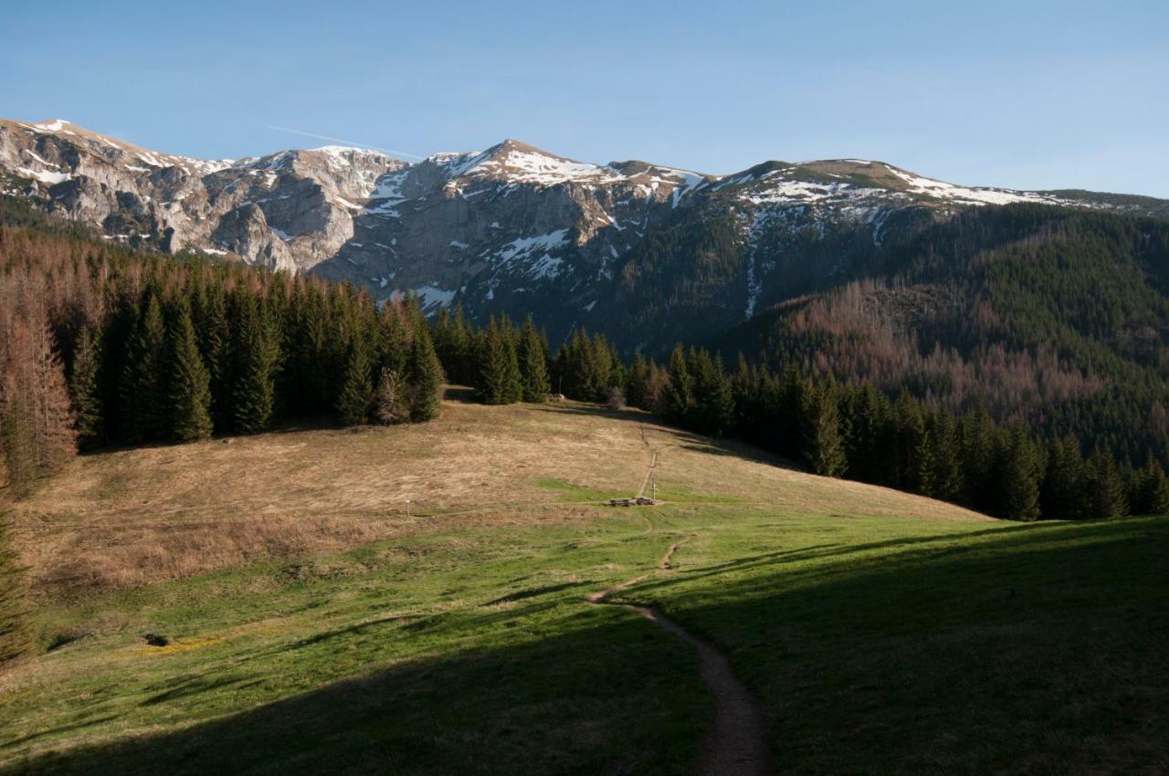 Appartamento Zakatek Mietusi